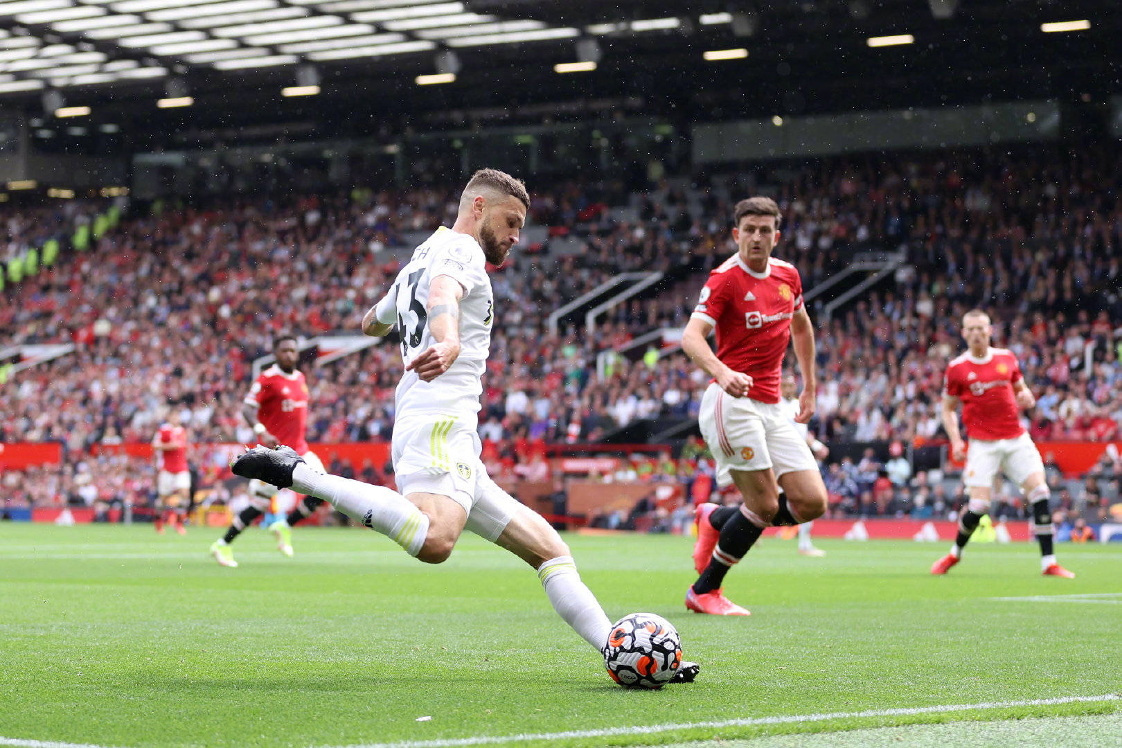 这一表现 这一表现