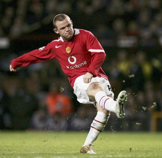 会加盟的新 会加盟的新